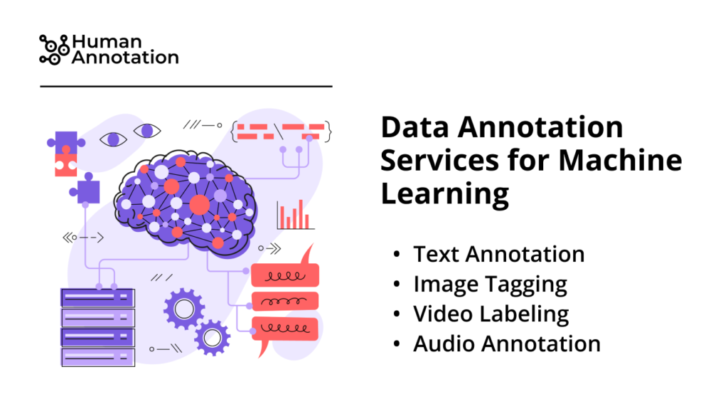 data annotation services